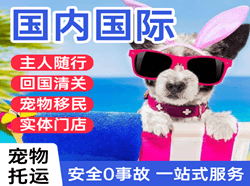 菏泽牡丹航空货运国际宠物托运 【国